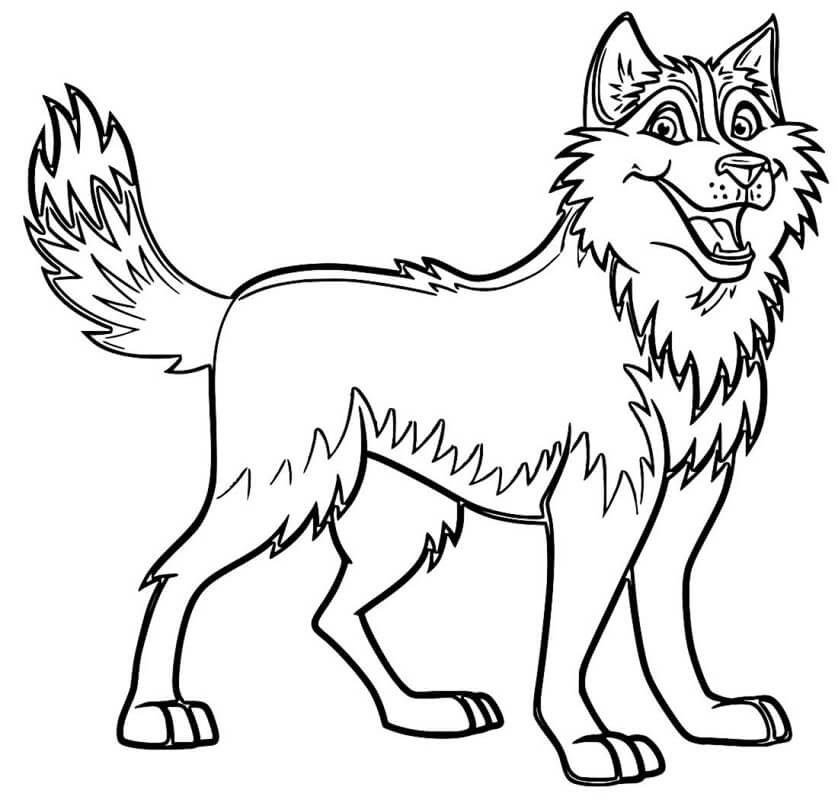 Husky kolorowanki